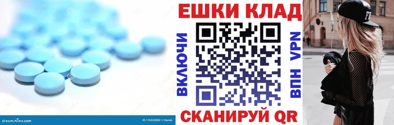 ЭКСТАЗИ бентли  Пошехонье 