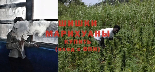 бошки Аркадак