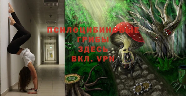 mdpv Арсеньев