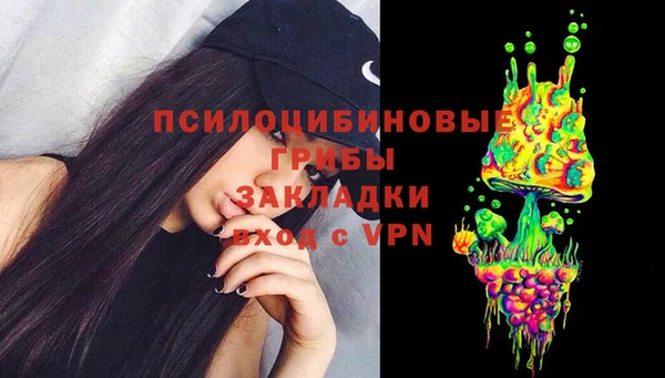 бошки Аркадак