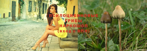 бошки Аркадак