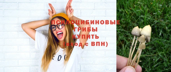 mdpv Арсеньев