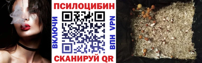Псилоцибиновые грибы Cubensis Пошехонье